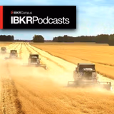 The War on Wheat – How Much Bread Is On The Table? - episode art