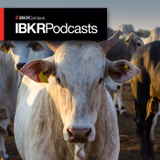 Live Cattle Futures - Herd Around the World - episode art